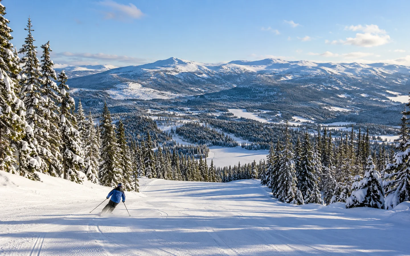 Illustrasjon: Skispor over en skogkledd fjelldal