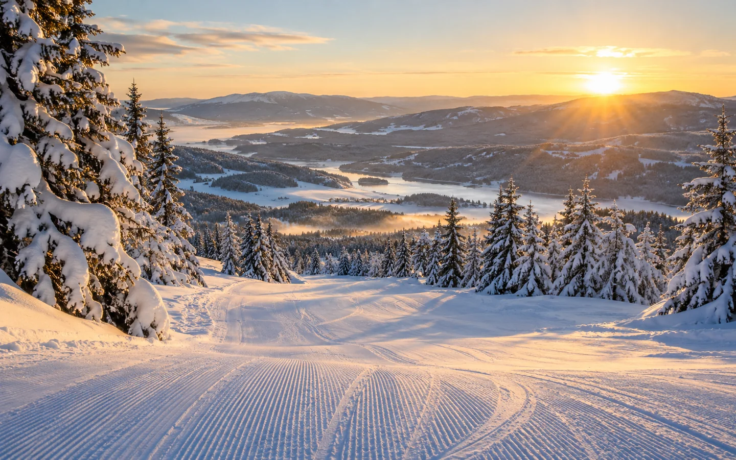 Illustrasjon: Morgensol over en snødekt skogbakke