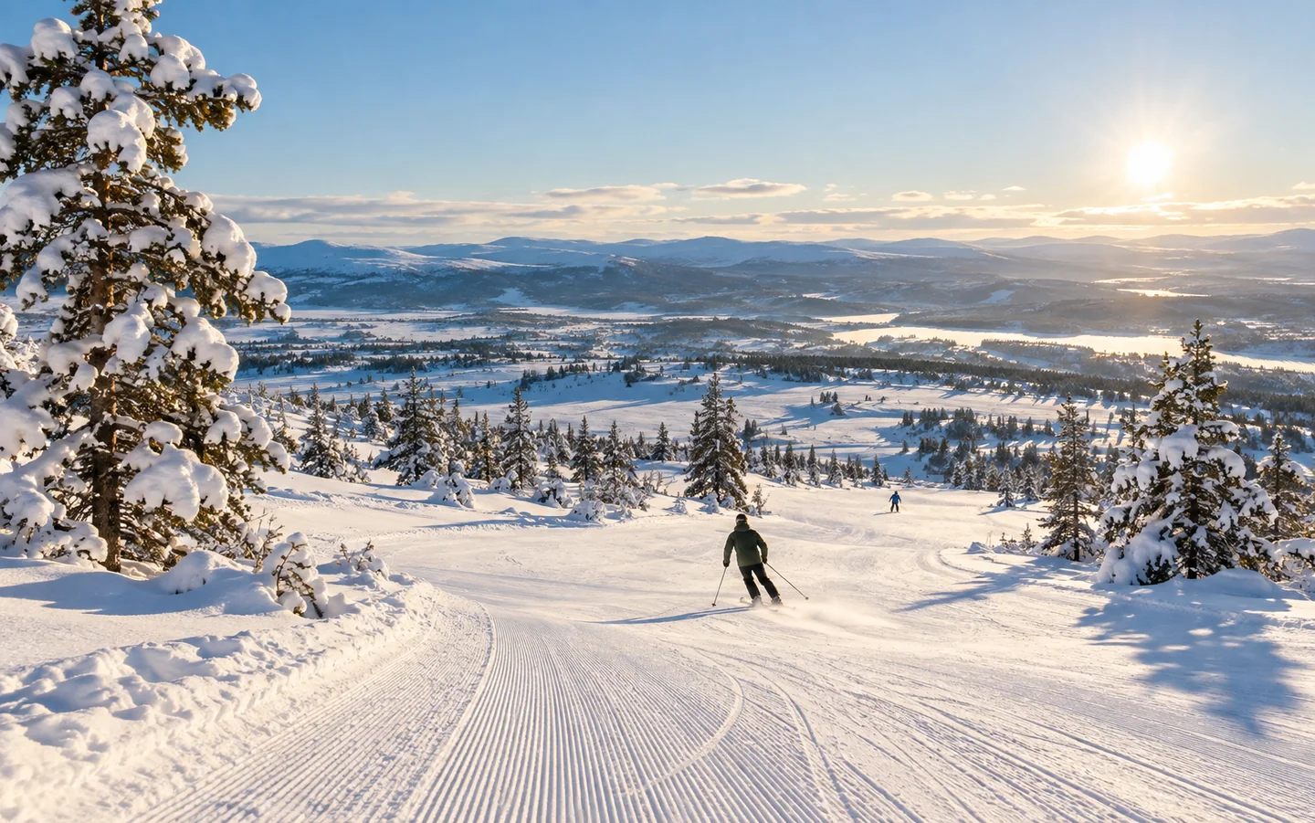 Illustrasjon: Preparert bakke mellom snøkledde furutrær