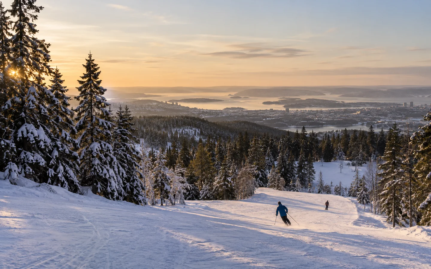Illustrasjon: En skogbakke med byen i det fjerne