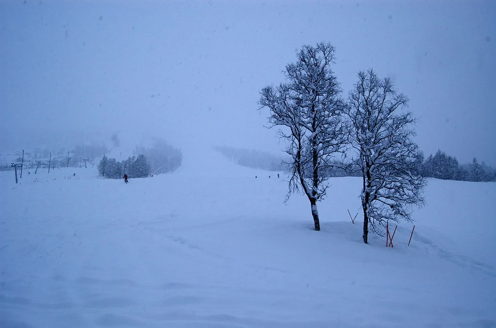 Snørik vinterdag i Myrkdalen