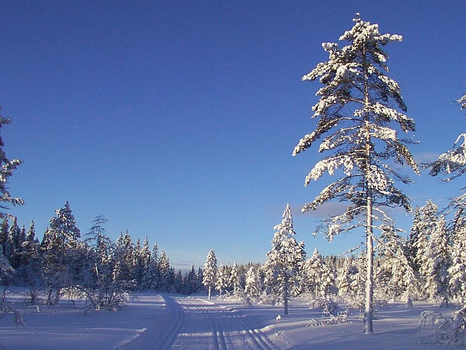 Vinterlandskap ved Ringkollen