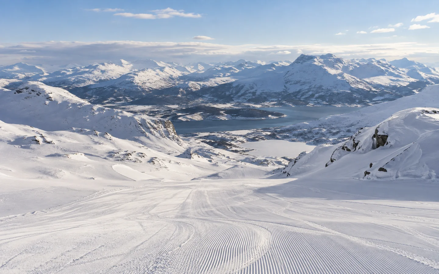 Illustrasjon: Skikjøring i åpent høyfjell